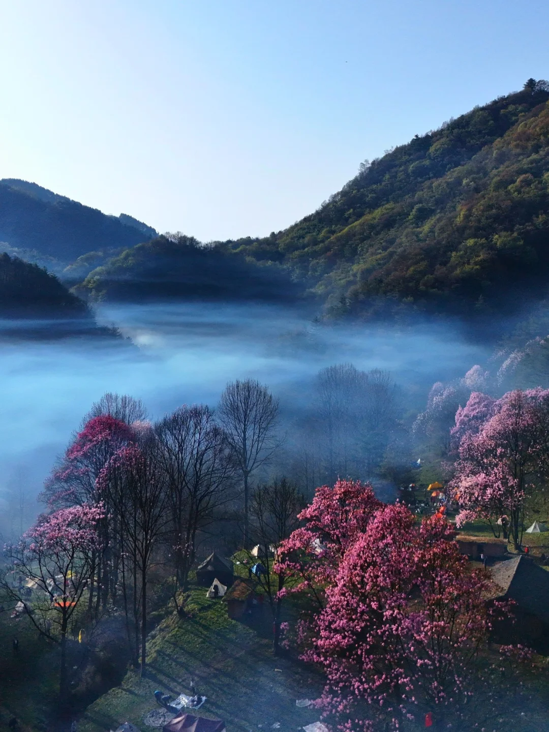 西安出发｜辛夷花徒步攻略✨附高铁+装备