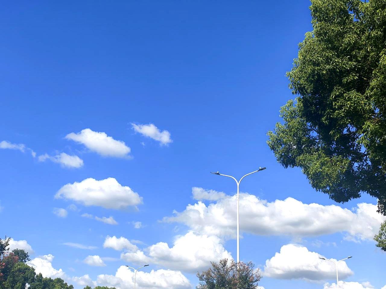 老了想多活几年，嘴上真不能太省。
天天一个水煮蛋，别嫌麻烦；鱼一周吃个两三回，清