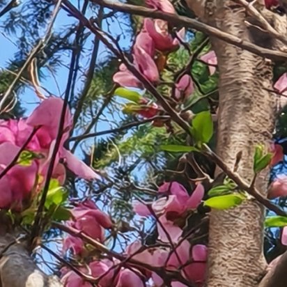 与其羡慕他人智慧，不如自己勤奋补拙；与其羡慕他人优秀，不如自己奋斗不止；与其羡慕