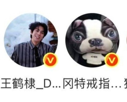 磕了这对cp 