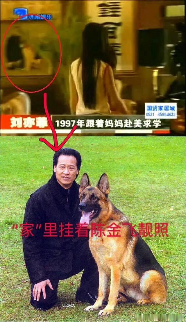 刘亦菲回北电和同学聚会时间久了，就真把自己当天仙了😒内娱大xy第一人 