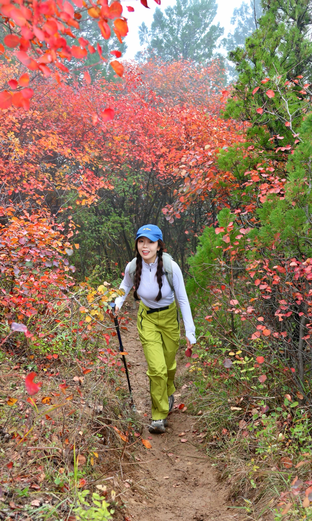 骊山🍁满山红叶美爆了！附免费赏秋攻略~