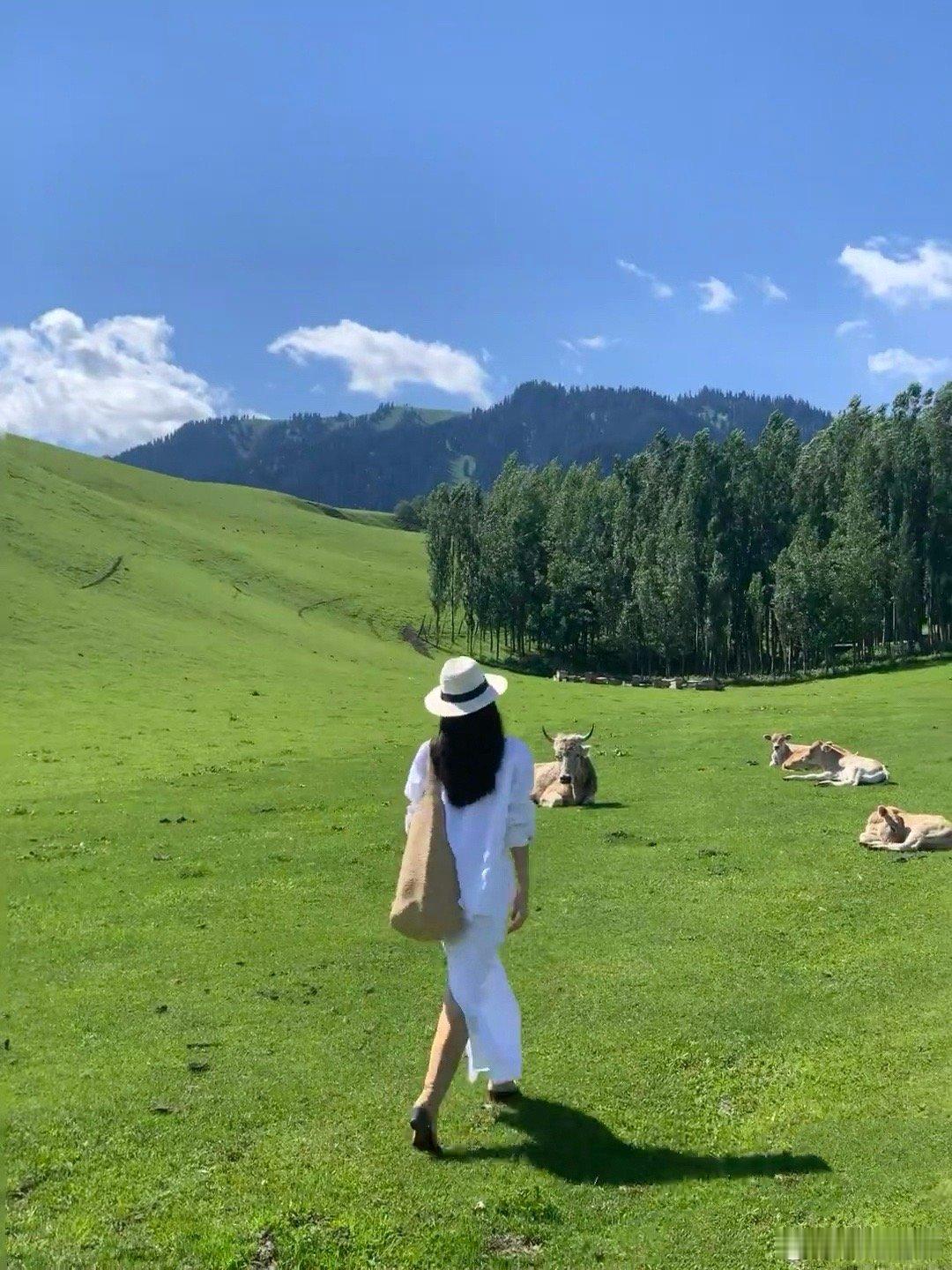 美好的周六清晨，正能量都在你的身边。说几个真相：1️⃣人生的容错率比你想象的要高