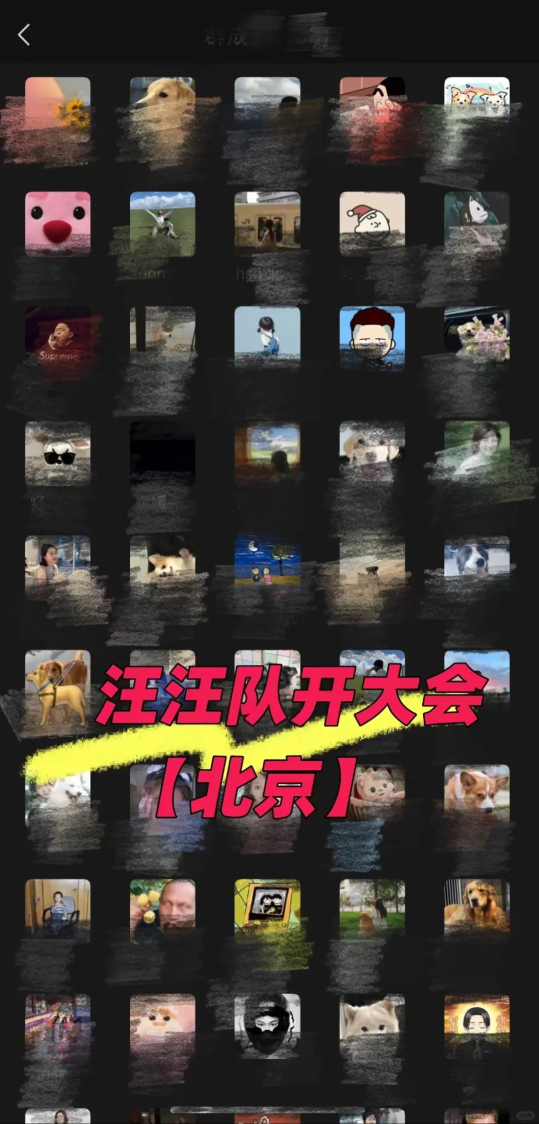 服了，这群养狗的怎么这样啊