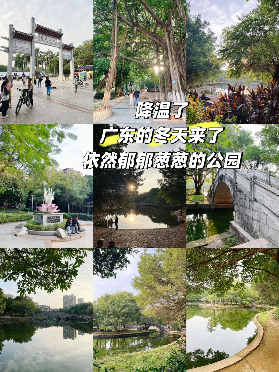 北京到广东小城躺平的生活9:广东的降温天？