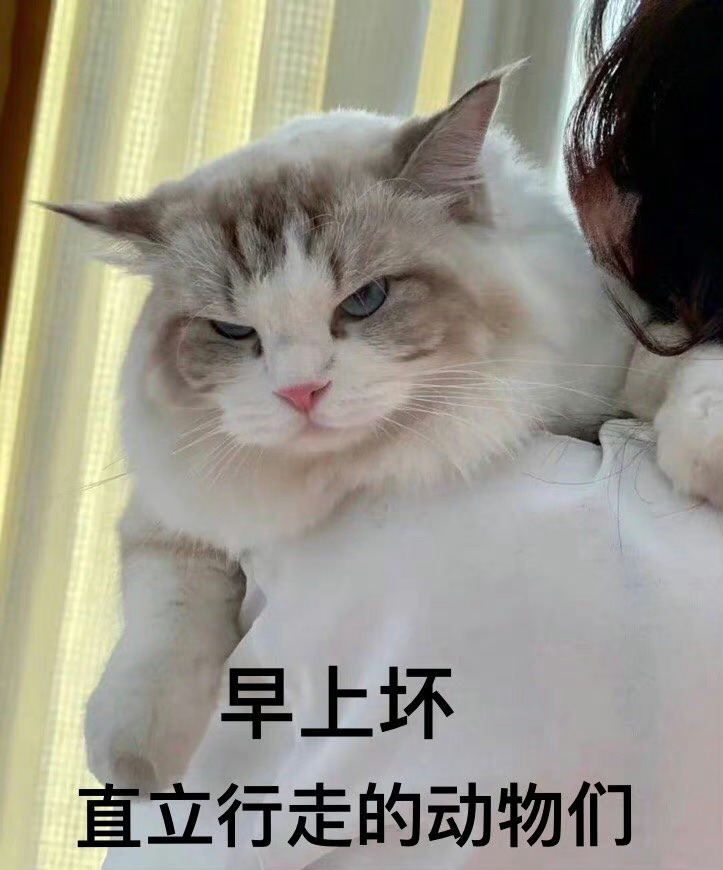 分享图片 ​​​