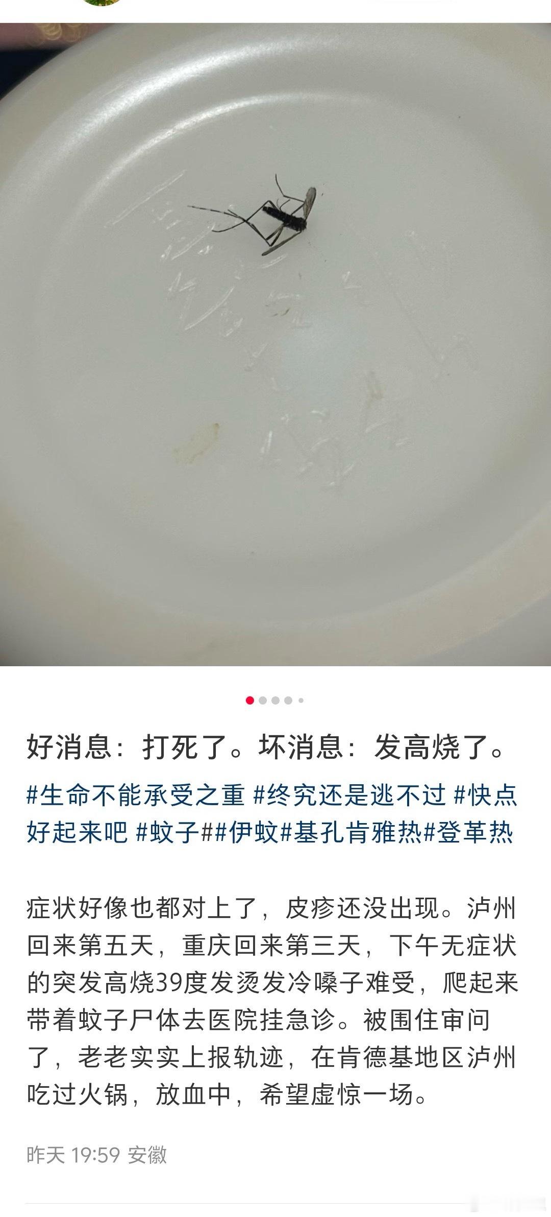 以为是基孔肯雅热，结果测出来是新冠。“破案了，新冠阳了，虚惊一场”“二十连阳了，
