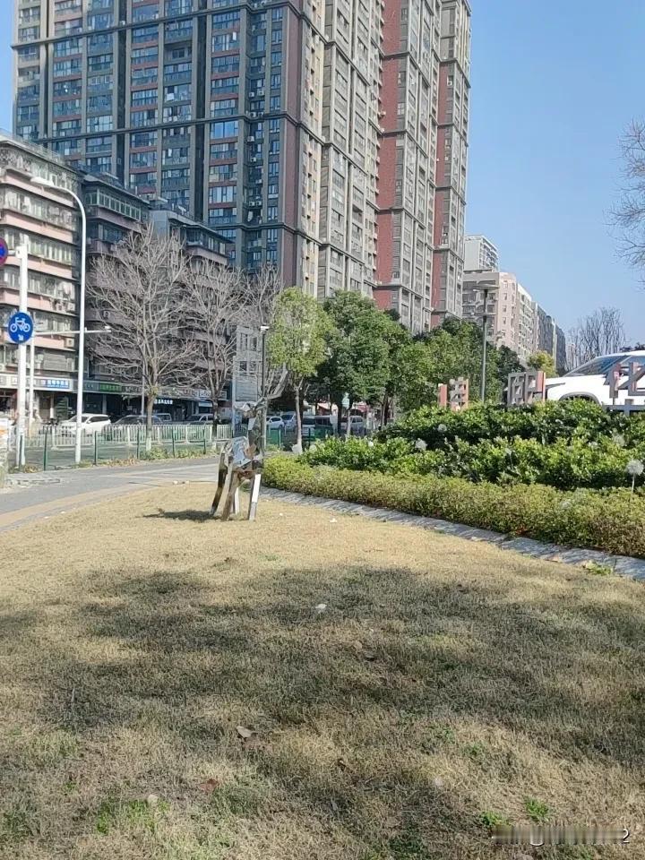 冬日生活打卡季