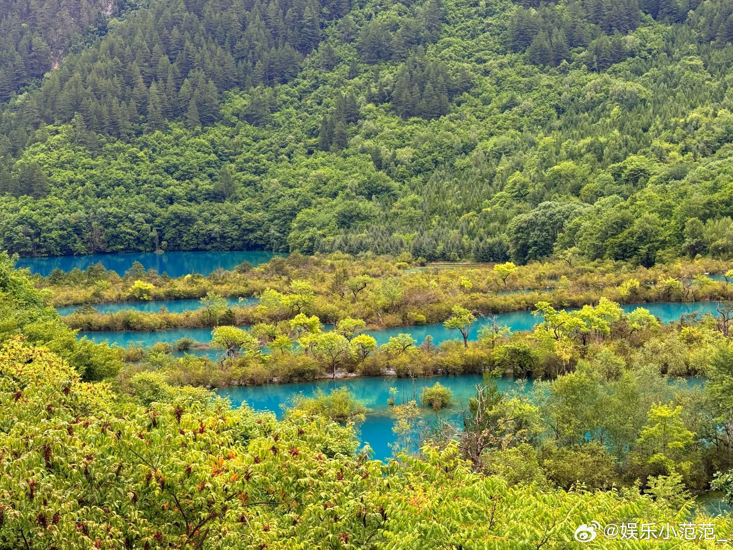 📍九寨沟｜人间童话，神山圣水！误入童话世界，满目清蓝！ 