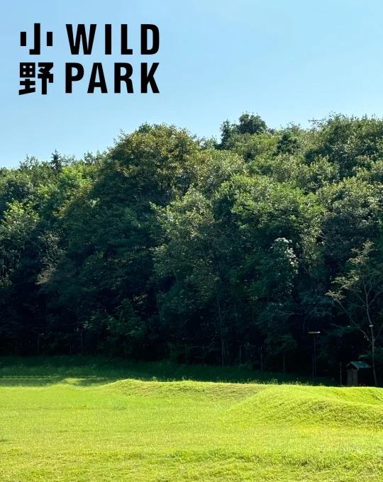 🌿 杭州市区藏了2万㎡狗狗天堂！
📍小野（杭州）WildPark城市户外空间