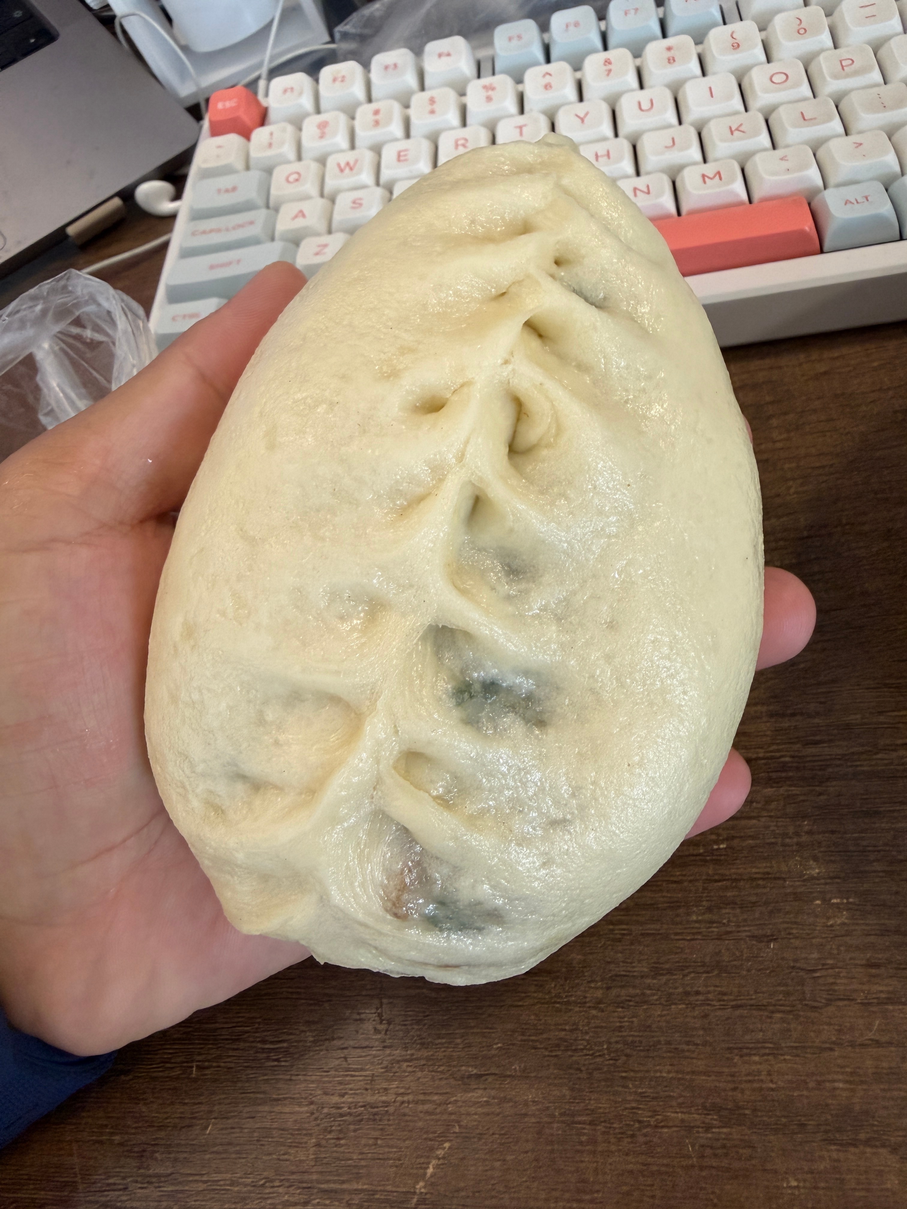 包子很土，一个手拿不下，纯手工包子，3元1个 ​​​