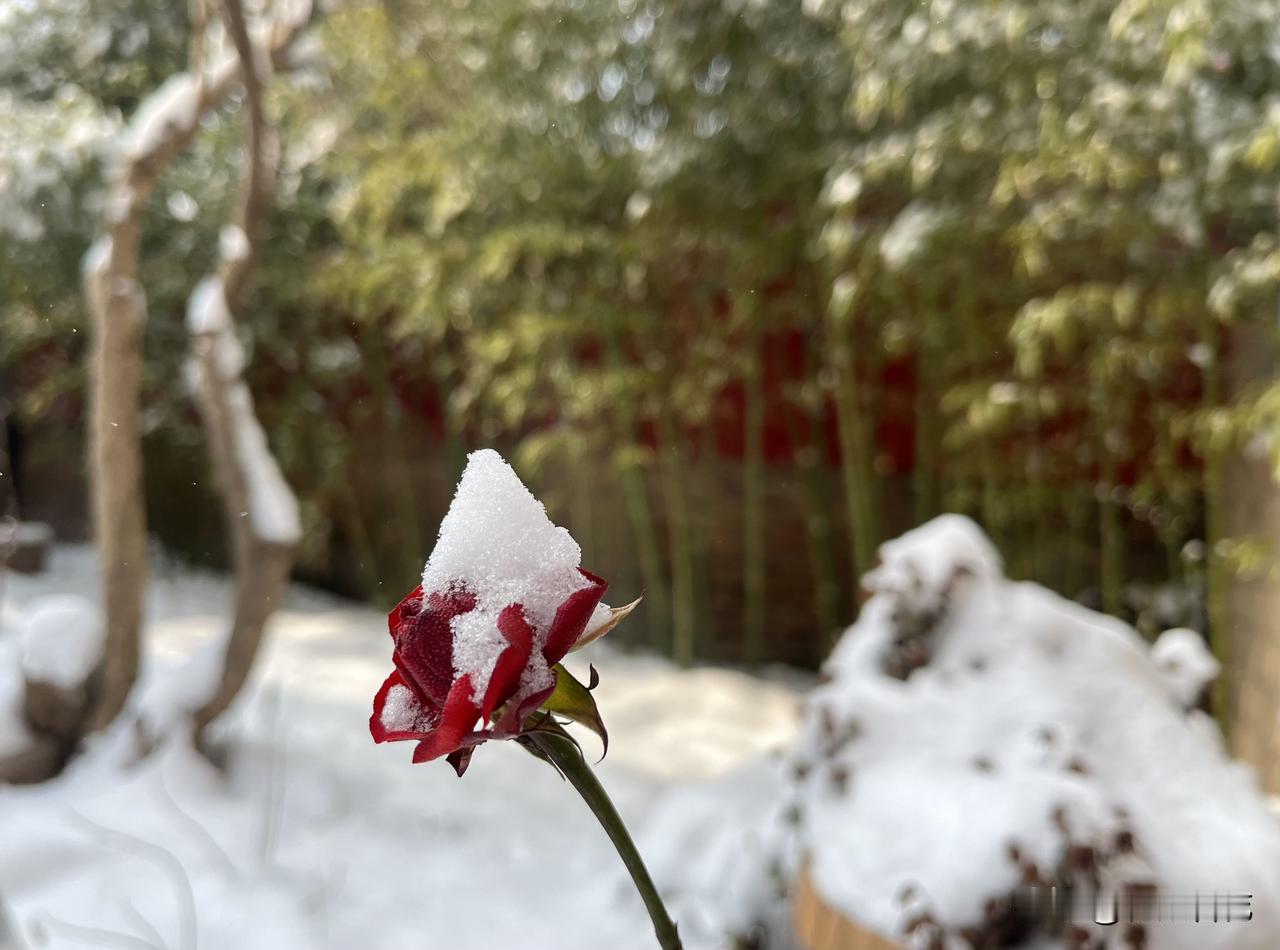 刚回到家，校长就打过来电话，问我去学校铲雪怎么不说一声：“这是做好事不留名啊！”