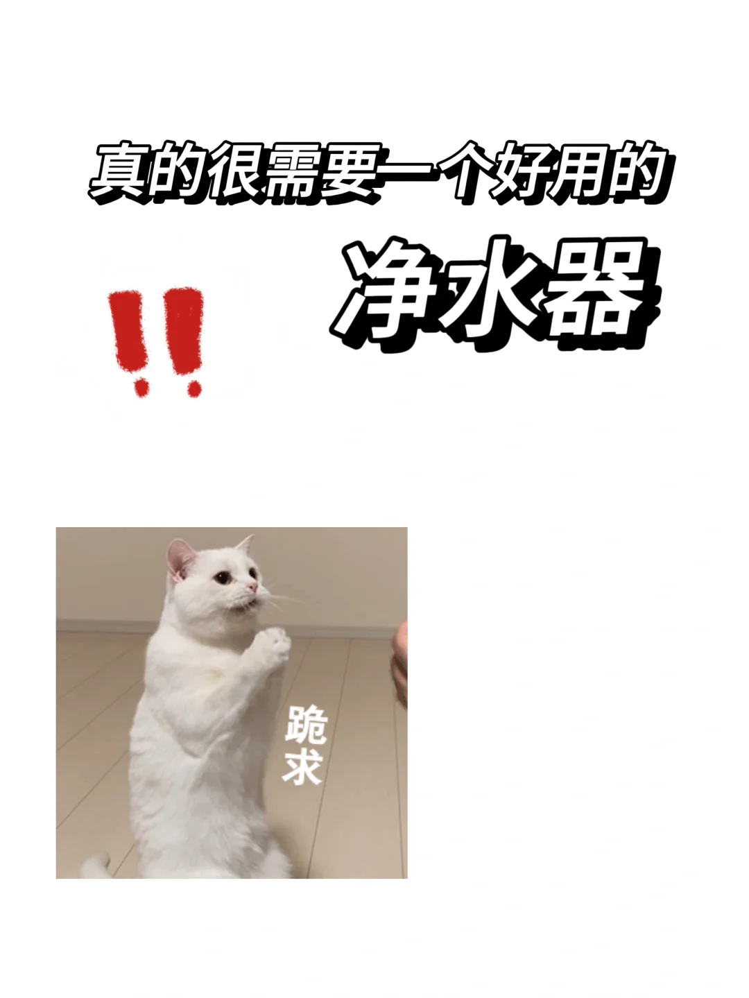 全屋净水器推荐家用，有高性价比的吗？