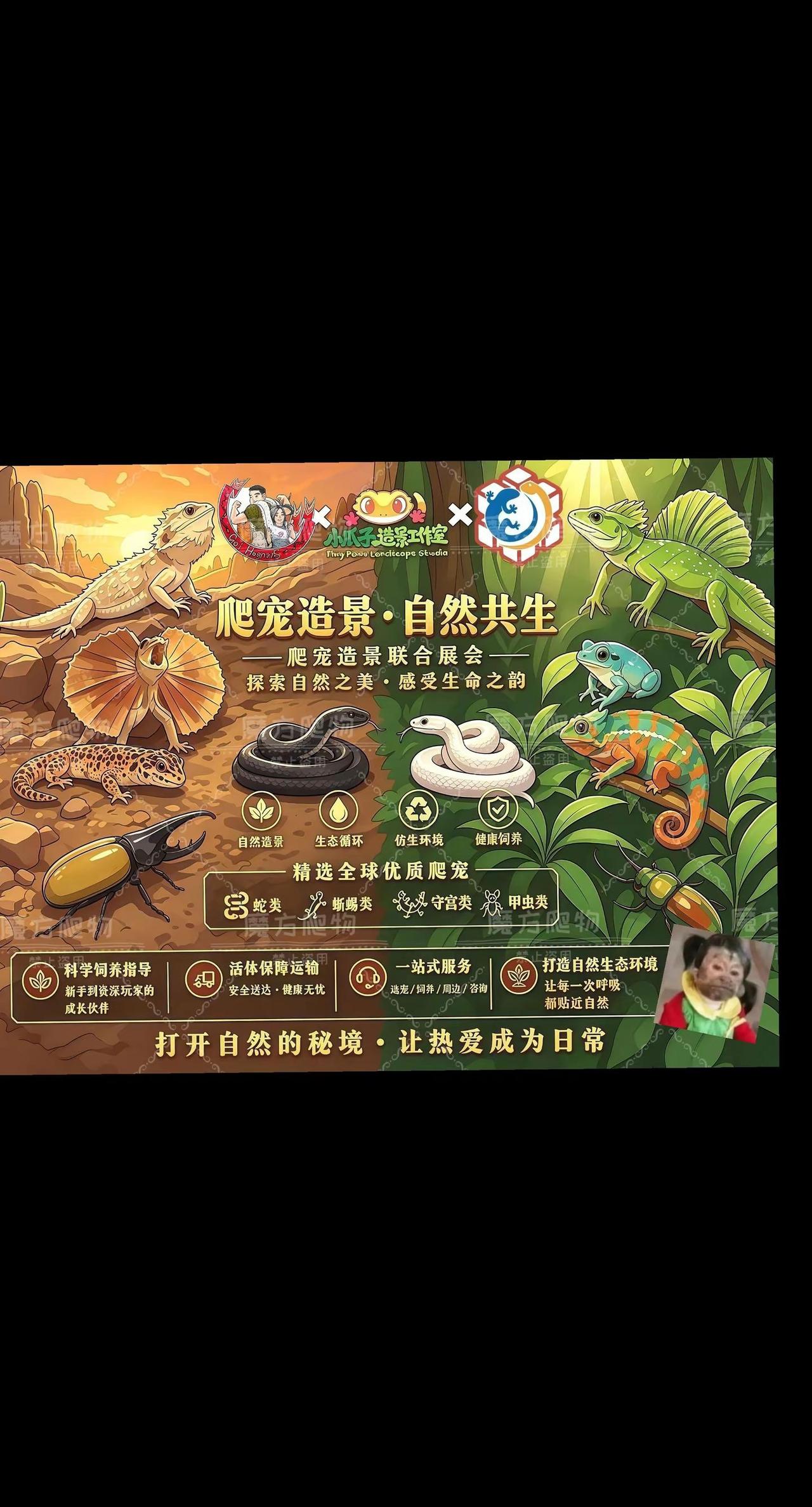 快来现场撸爬吧！第九届昆明宠物博览会，7月24-26日，我们不见不散！爬宠体验 