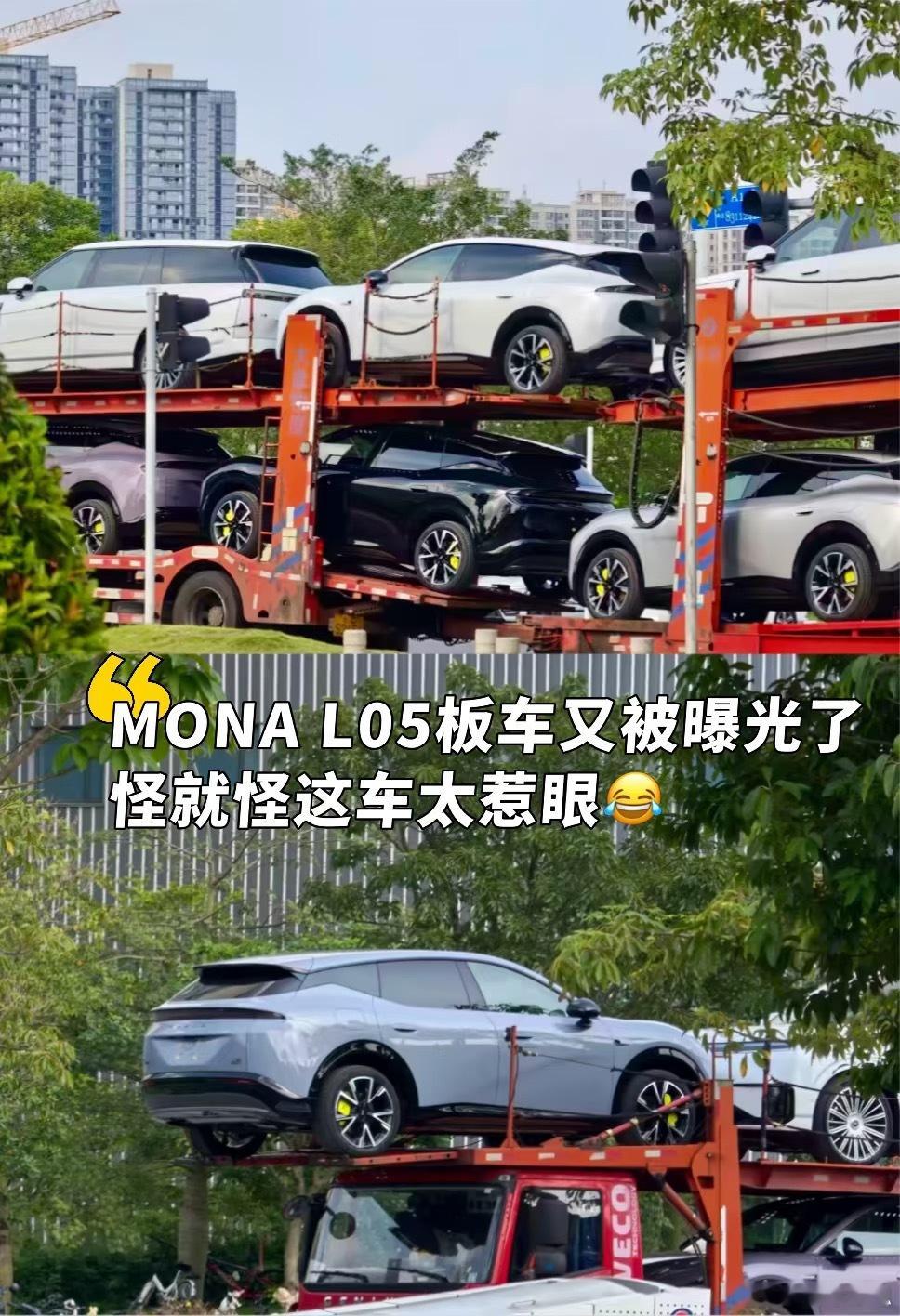 有一种美，叫板车上的美。这车热度太高了，淘宝上已经出现L05的周边。官方还没下场