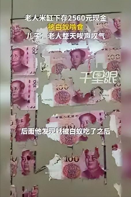 太心酸！老人藏在米缸的2560元血汗钱，被白蚁啃成废絮

老一辈人总信一句话：钱