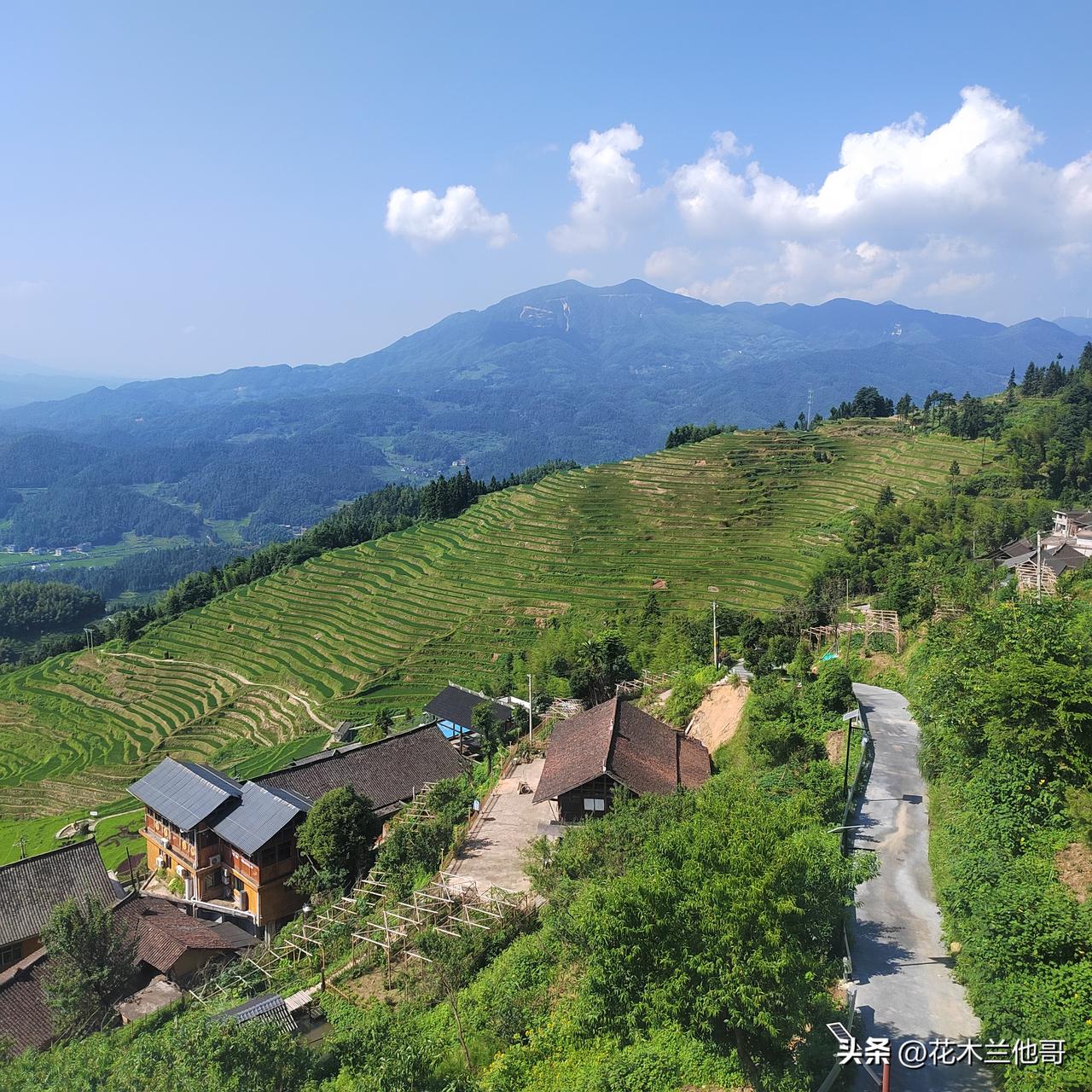 手机每天随手拍新化水东镇的紫鹊界梯田，是旅游景点的三大梯田之一。虽然说比广西的龙