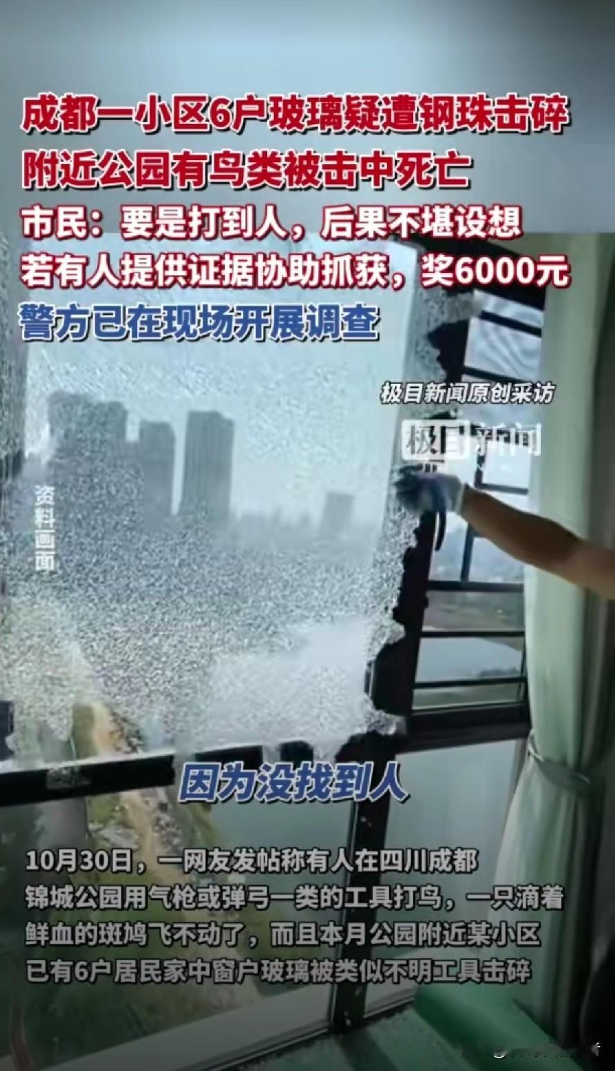 这种距离击穿玻璃的钢珠应该是什么什么东西打错的呢？
那住户的玻璃一般都是钢化玻璃