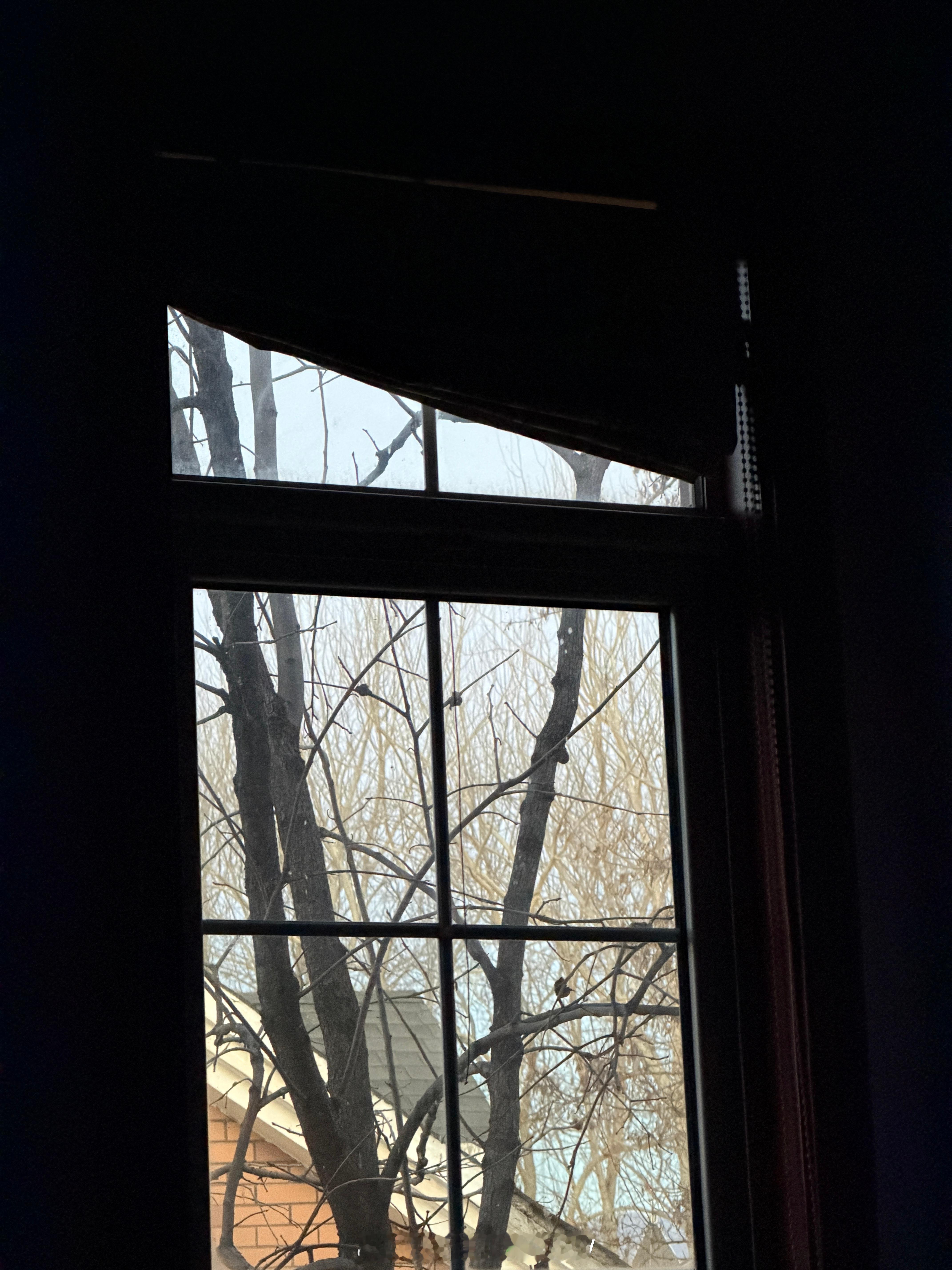 还是在家睡得踏实，好久没有不想起床的感觉了，一觉睡了九个小时我们的明天