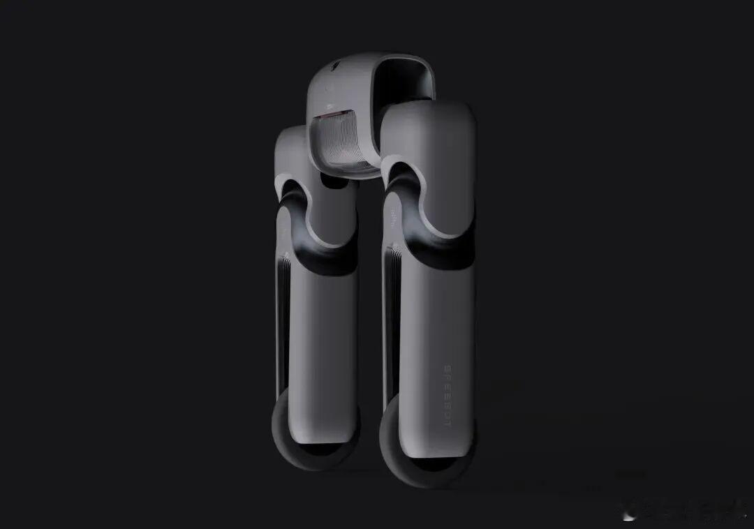 据悉，大疆早期成员、前Enabot联创玛赫英生的创业项目SPESBOT徕福机器人