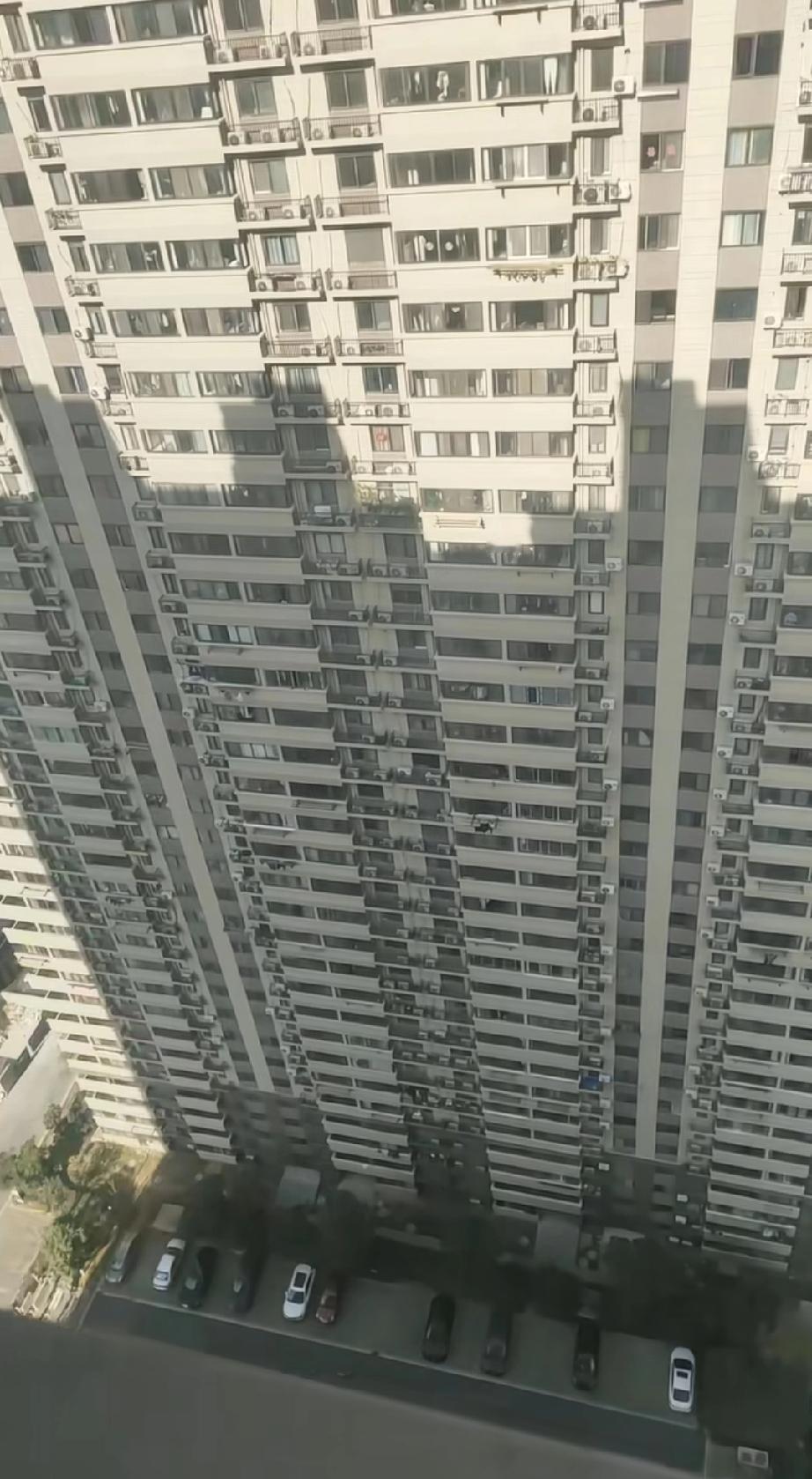 快中午了，25层以下连太阳都照不到！
同样的小区，同样的物业费，高楼层亮堂堂，低