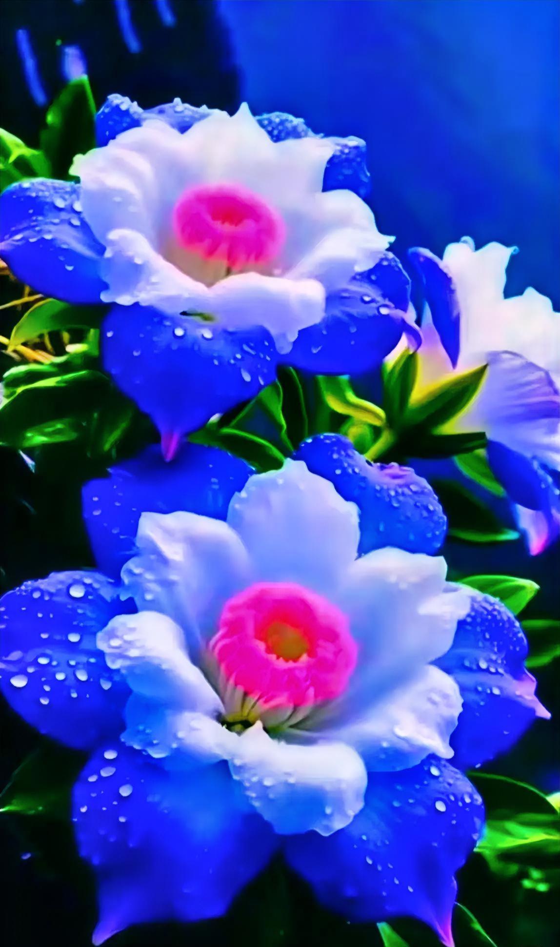 人老了,最值钱的是什么呢?
人老了才懂！真正值钱的不是存款和房子，而是这3样，有