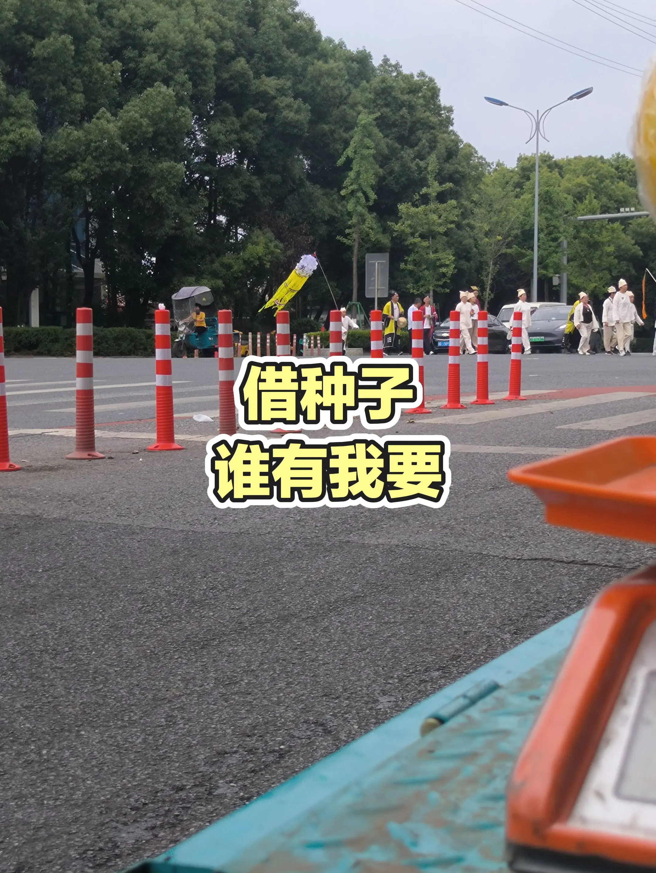 每日分享
