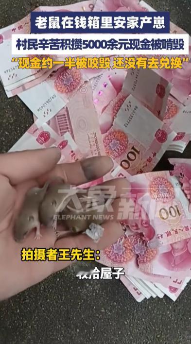 “悲剧还是发生了！”9月28日，河南驻马店，一村民将辛苦积攒的5000元现金存放