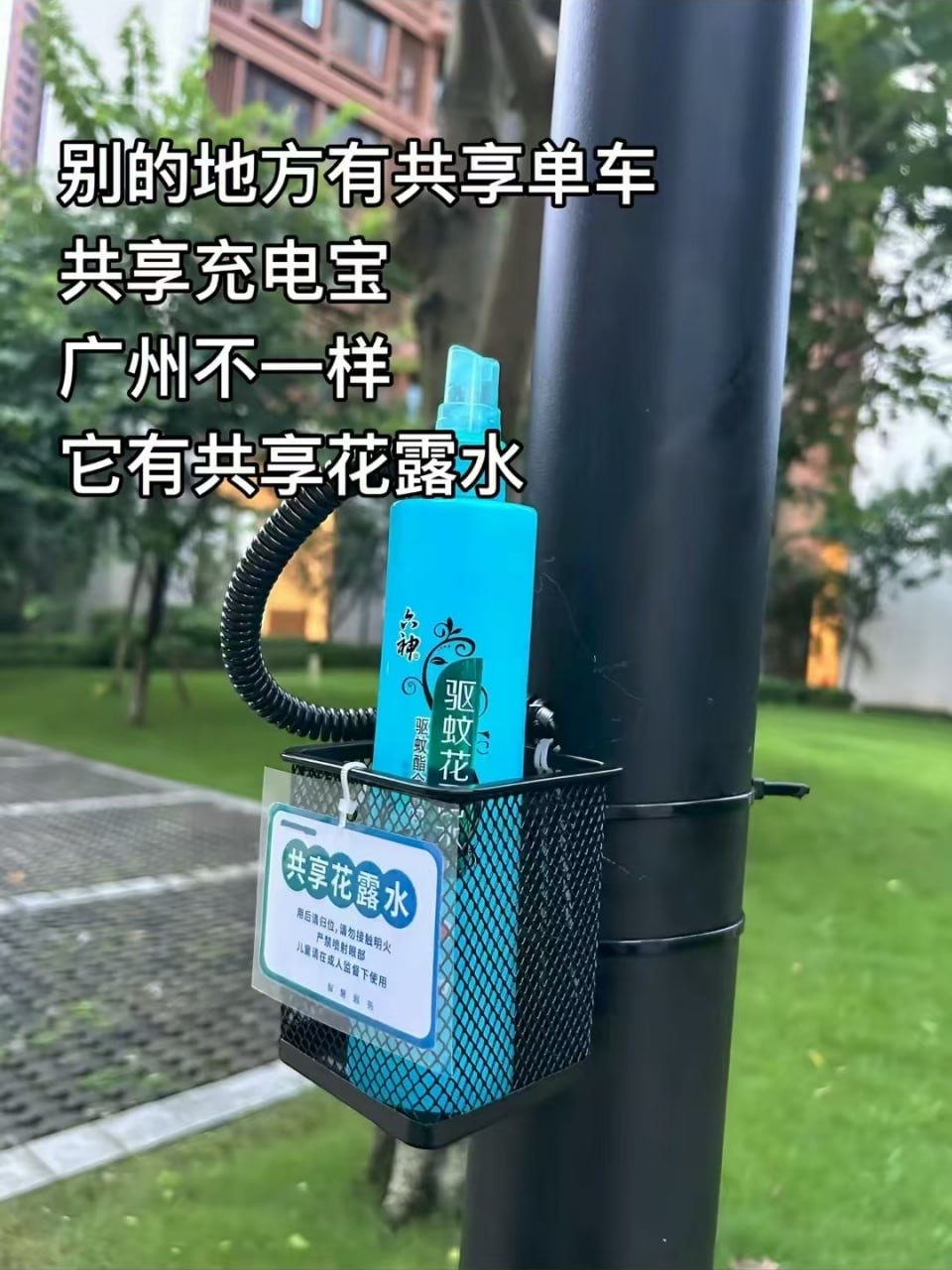 广州共享花露水 广州这么好啊[喵喵] ​​​