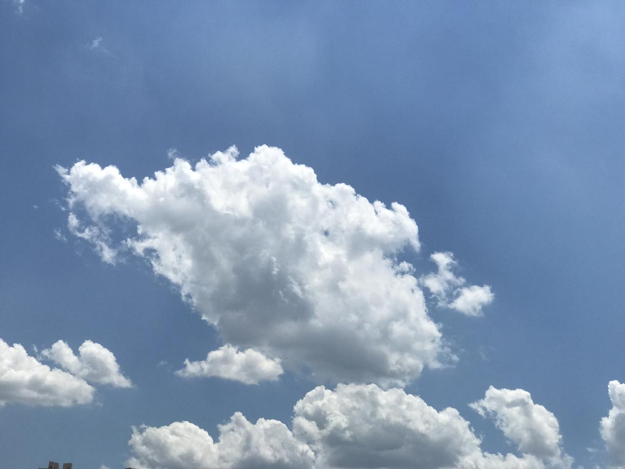 分享一张你拍的蓝天白云天津滨海新区今天下午的蓝天白云。
