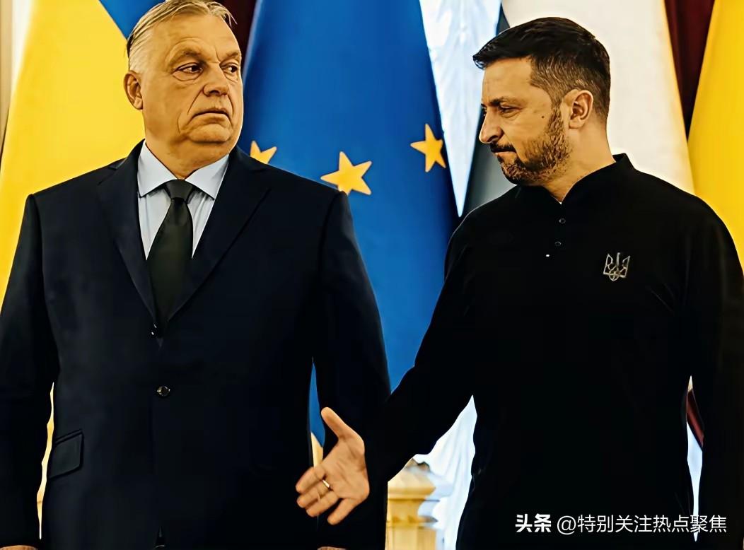 没有对比就没有伤害