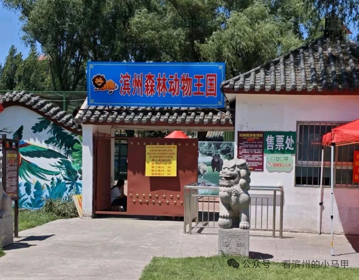 改名换皮+小字藏限制，滨州“森林动物王国”营销套路引争议
 
六一前后，“滨州森