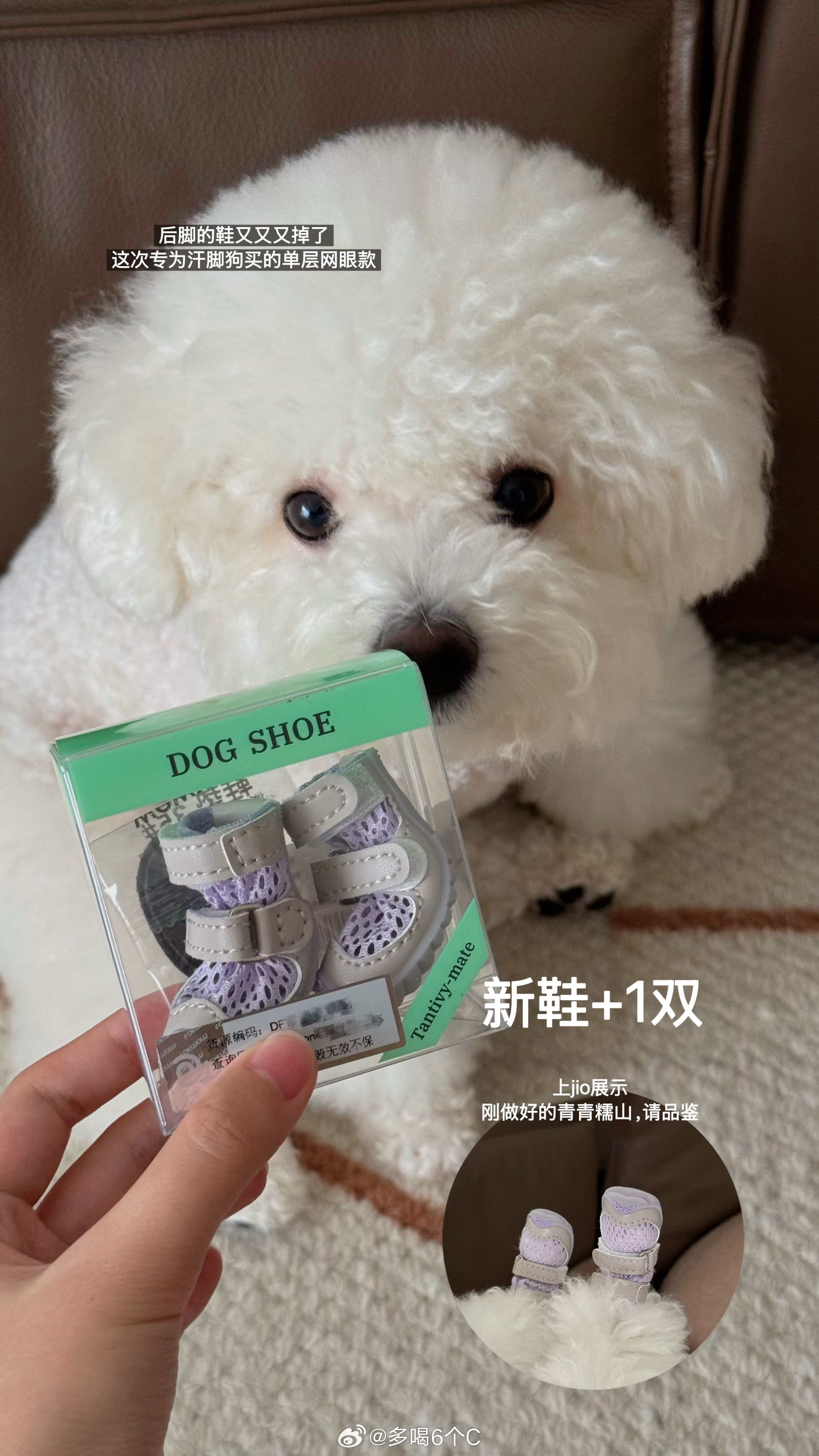 新鞋只穿一周，又走丢一只对汗脚狗什么话好讲了 