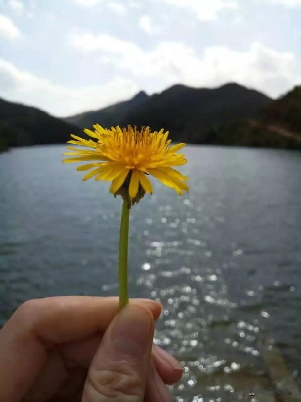 哈哈，这个问题我可太熟悉了，很多人都会下意识想到