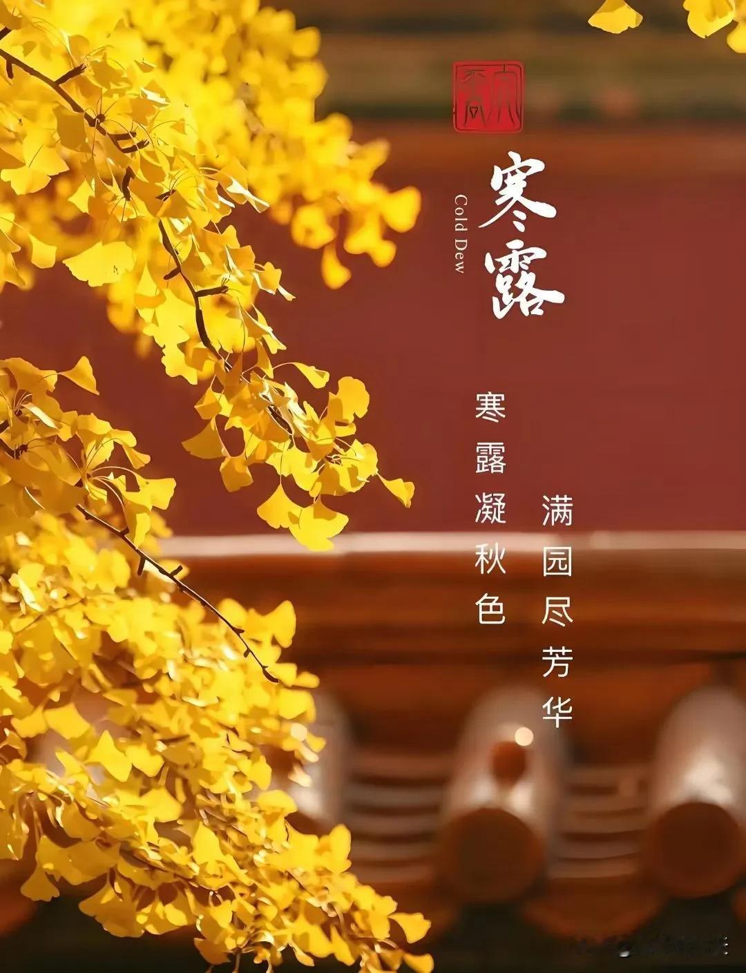 #金秋寒露雁飞南#

凉风瑟瑟寒露至，
树叶金黄染山岗。
汩汩溪流弹韵律，
晴空