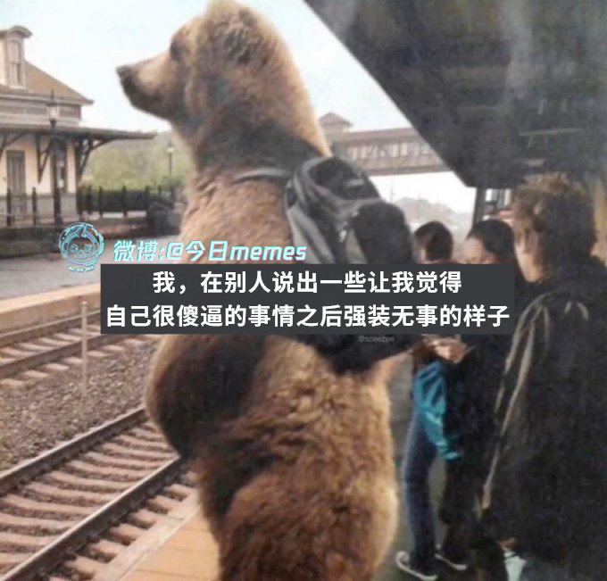 噢噢噢（9gag）今日meme[超话] 今日memes ​​​