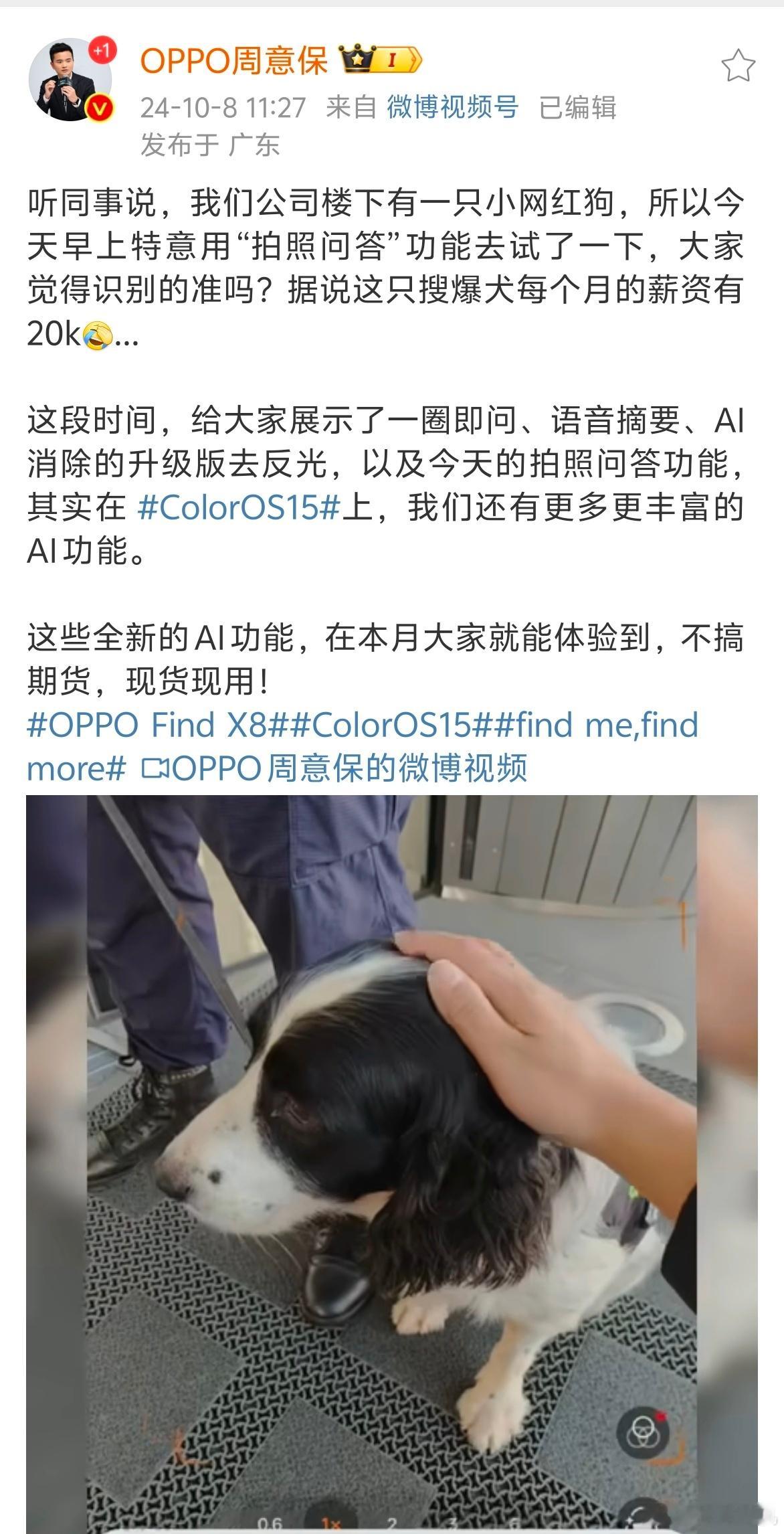 OPPO Find 产品经理今儿展示了 ColorOS 15全新功能：拍照问答即