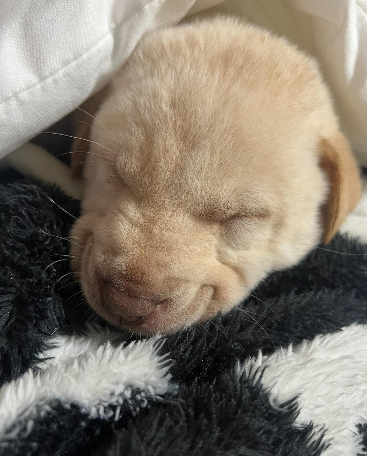 奉劝各位，万万不可断更！
这可是血一般的教训啊！我此前有过几次断更经历。
你猜猜