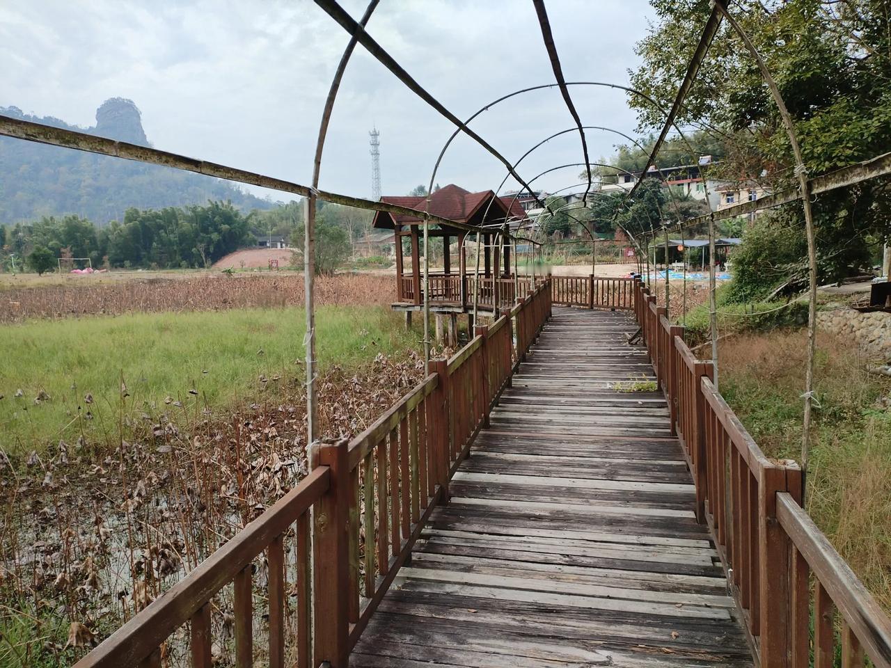 谁说宅基地都是香饽饽？！
宅基地是农民在集体的农村建设用地，城里人无法购买。为了