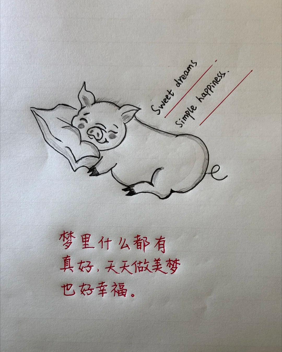 梦里什么都有，简单即是幸福

软萌小猪枕着枕头酣然入睡，配文温柔治愈。不用追逐繁