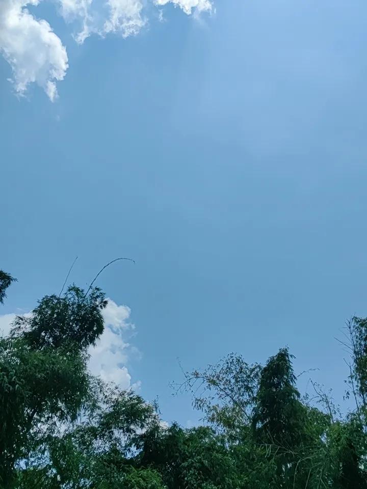 人间一趟，积极向上，拥抱你我之间。
天空像是被打翻的蓝色颜料盘，均匀又纯粹。几朵