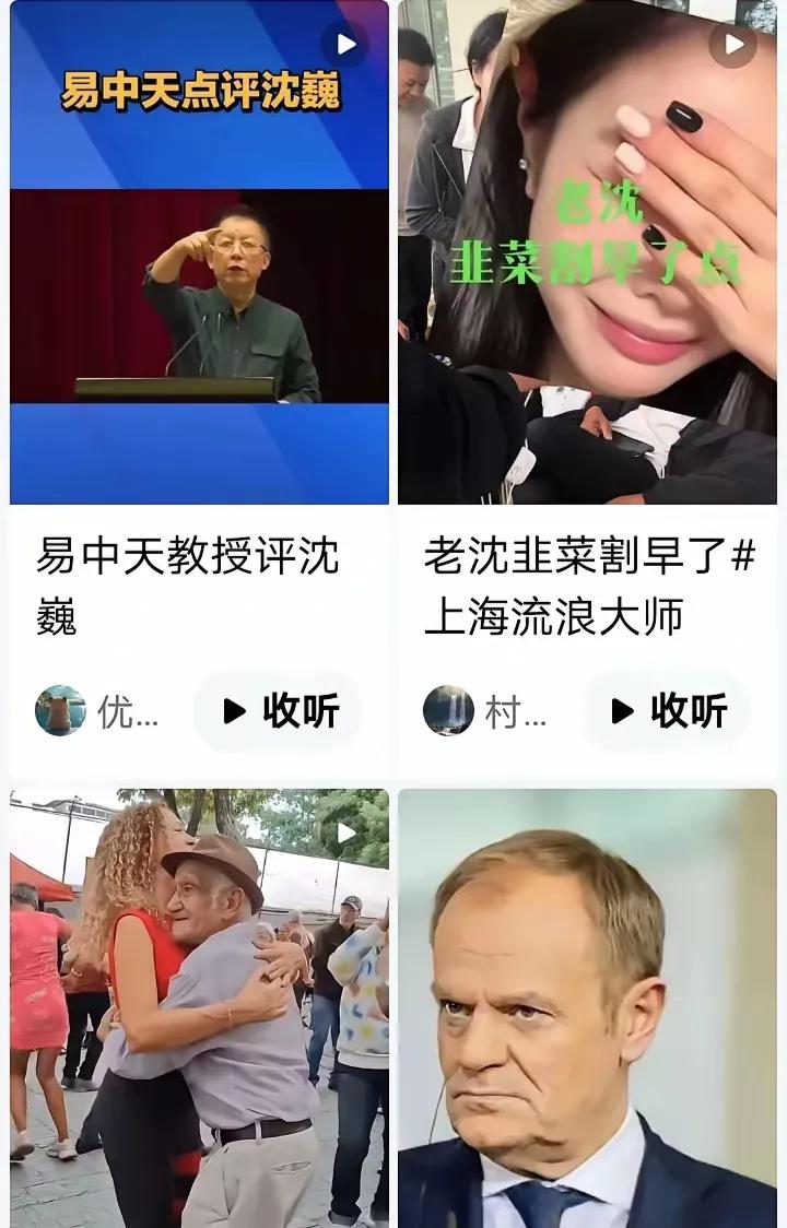 最近刷到易中天评论沈巍，他说沈巍的知识有点碎片化，东一点西一点的，不够系统也不够