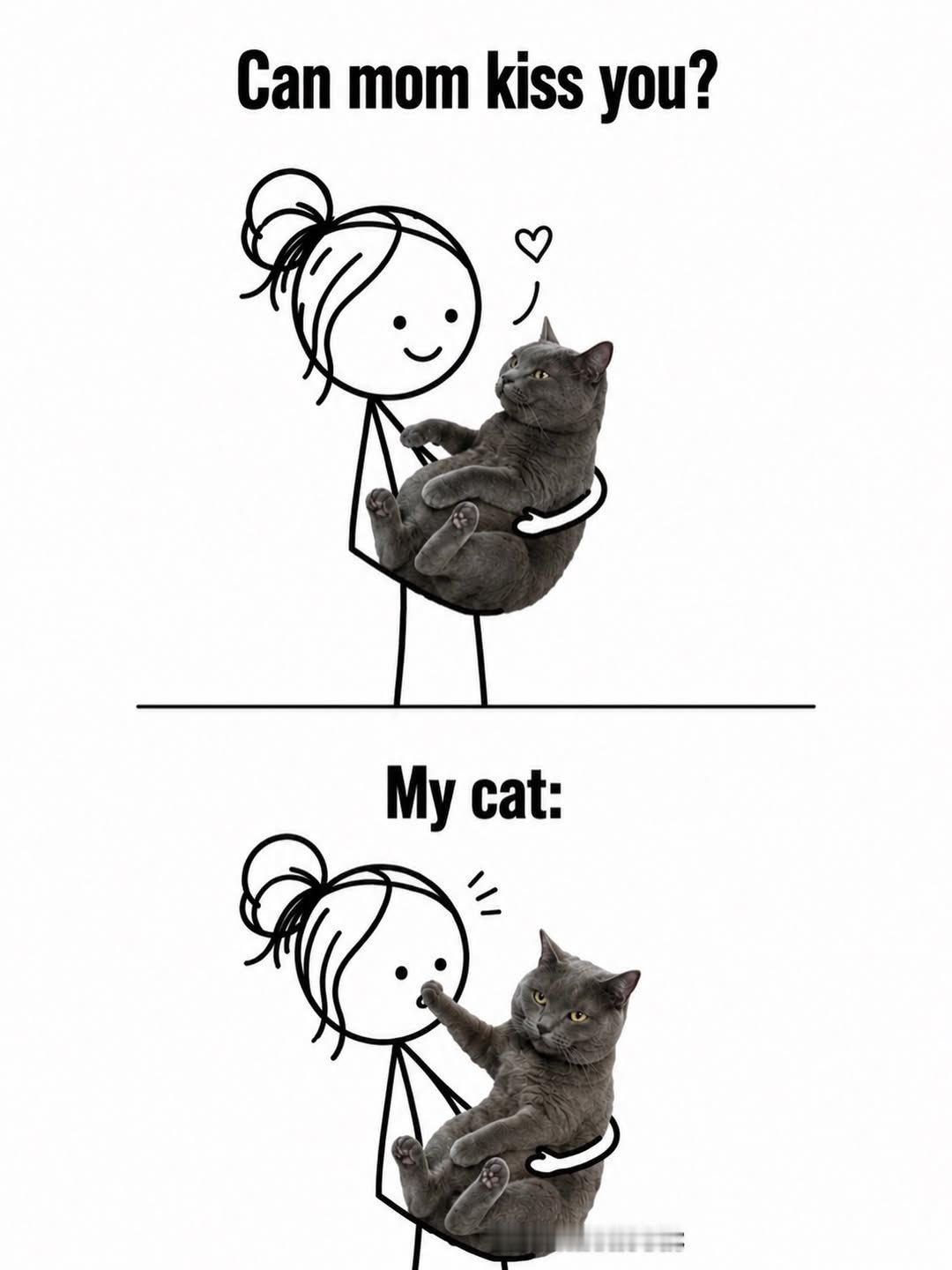 当你想亲你的猫时： 