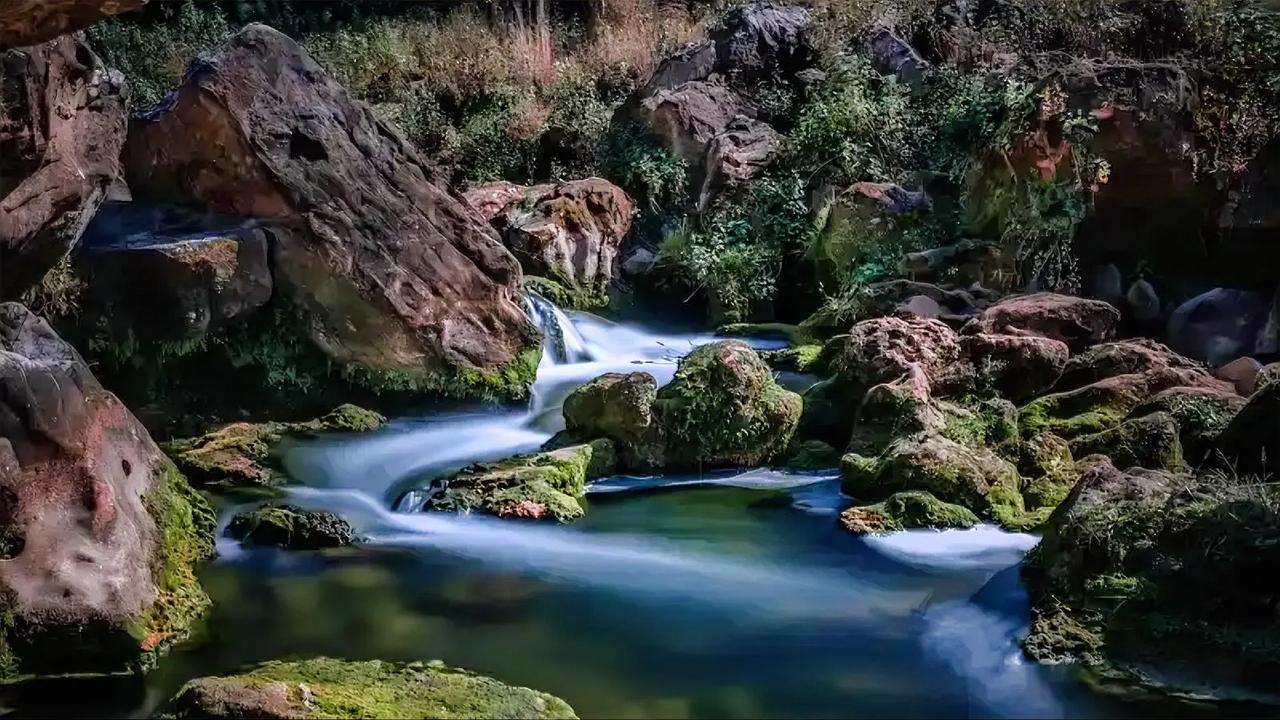 周末逃离城市喧嚣，一头扎进了山林。刚到溪边，那溪水叮咚声就像一双温柔的手，轻轻抚