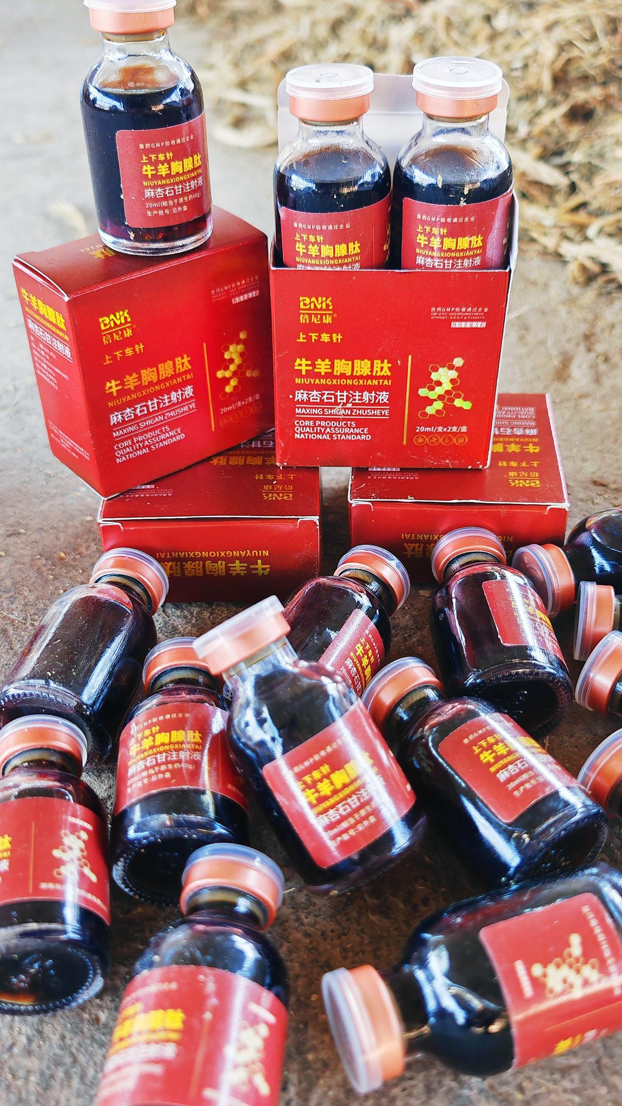 养羊人 农村养羊 牛羊养殖