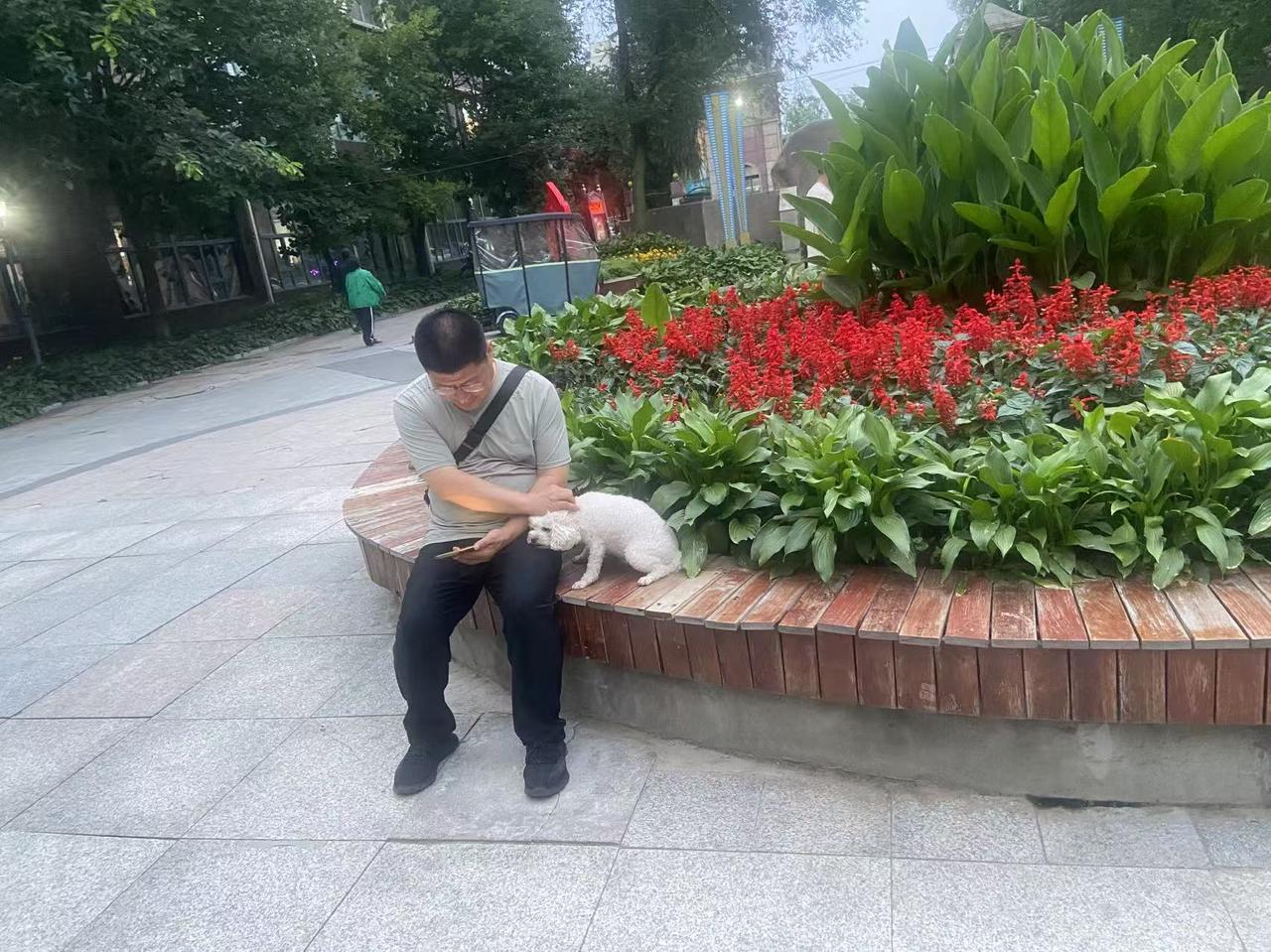 看了法国队对巴拉圭的比赛，很多人为法国队鸣不平，说巴拉圭踢球很脏。我也这样认为简