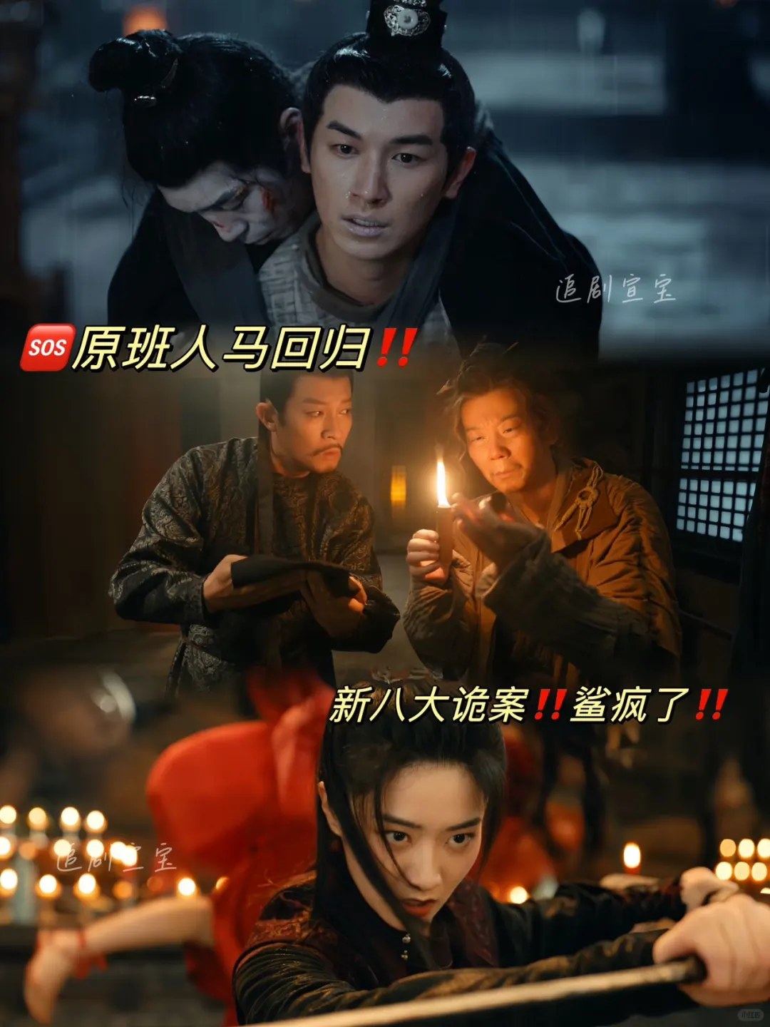🆘王炸探案剧❗️超绝诡味预告❗️鲨疯❗