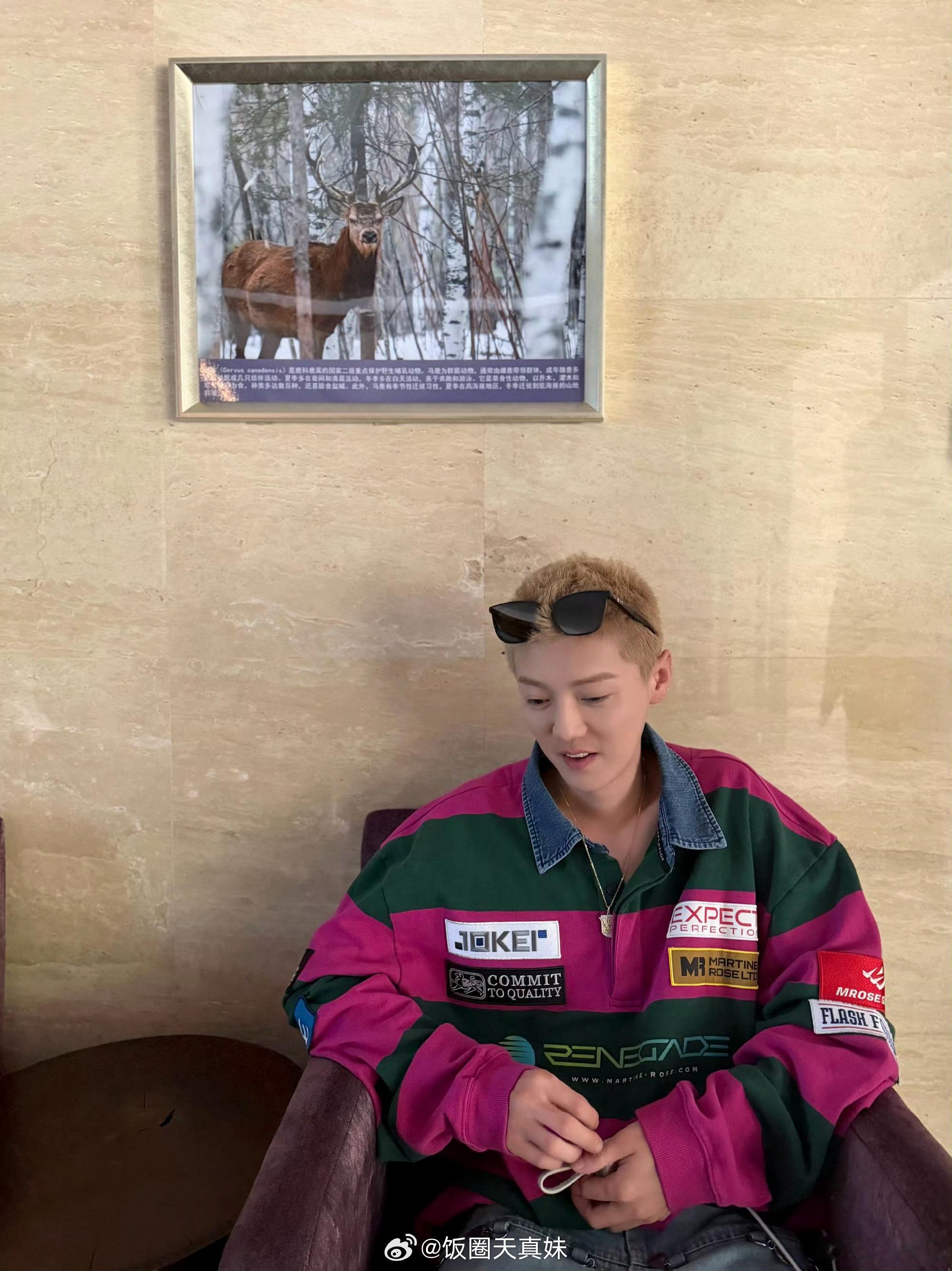 鹿晗摸陈赫脸道歉鹿晗又误伤陈赫了 陈赫好好站着被鹿晗泼了水，鹿晗还摸脸道歉，这俩