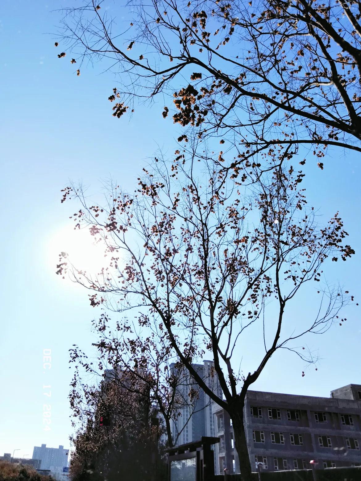 今天阳光明媚，风也温柔，我去公园溜达一圈，天气晴朗，适合收集快乐，你们去哪里玩了