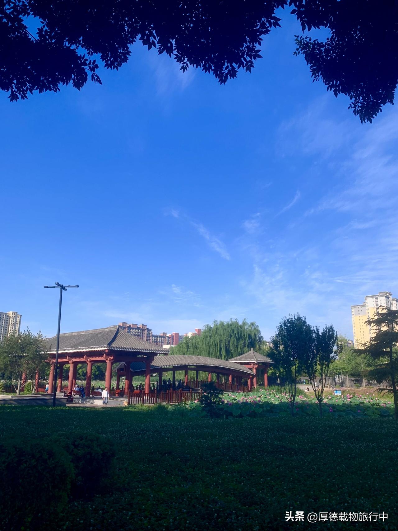 随手拍公园美景